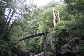 渓流と吊り橋